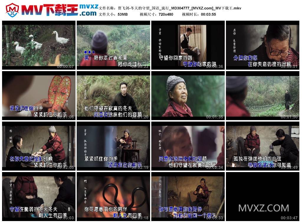 贾飞剑-冬天的守望_国语_流行_MD304777